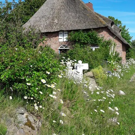 Im Friesenhaus Dikhue Apartamento *