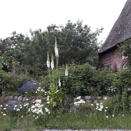 Apartamento Im Friesenhaus Dikhue Emmelsbüll-Horsbüll